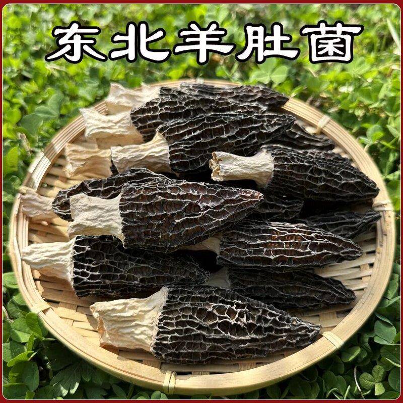 羊肚菌干货东北特产野生干蘑菇无硫头茬新货炖汤煲汤食材山珍礼盒