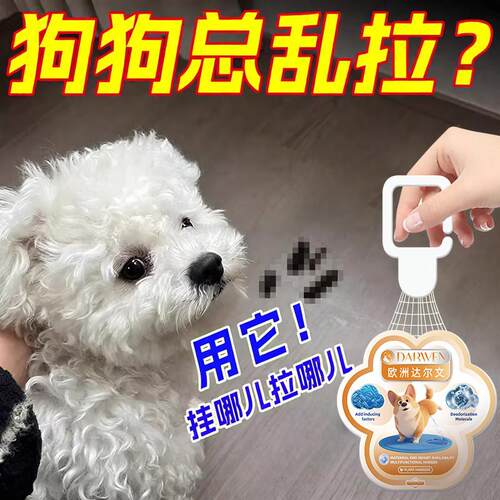 【狗狗自己上厕所】狗狗定点上厕所狗定点排便大小便训练