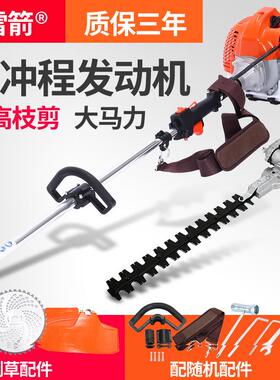 雷箭功高高枝绿篱机摘果机枝锯高枝剪多果树摇雪机采00摘机