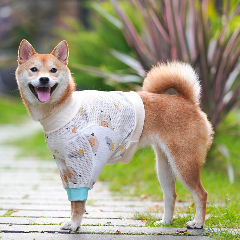 狗肘部保护器夏季薄柴犬肘部透气中型狗关节前腿保护器耐磨棉