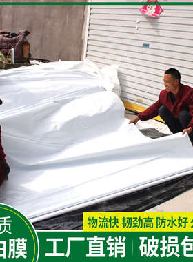 食用反光隔热膜白膜膜菇膜养殖青贮黑白养鸡绿大棚加厚