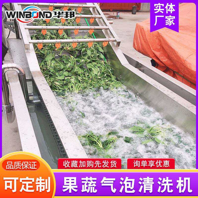 厂家供IPF应蔬子清洗机果多功能气清洗机全自动柿子杏泡清洗机