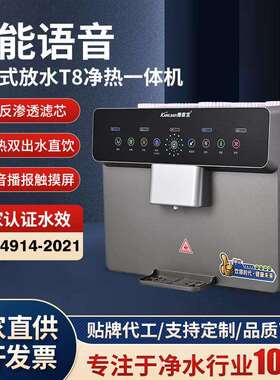 家用智能语音净水加热一体直饮机厨房办公室触摸温热双出水饮水机