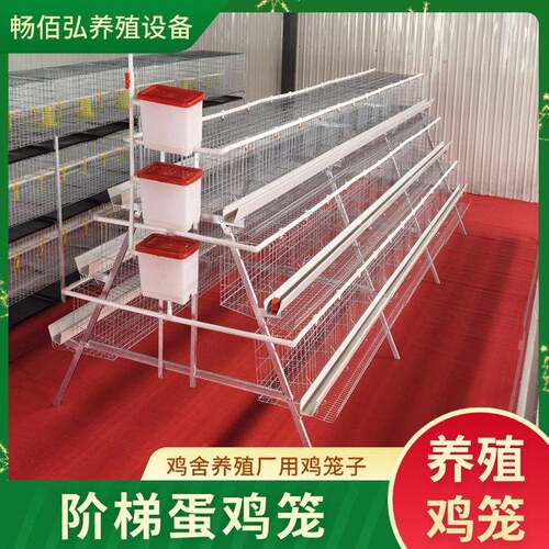 多层阶梯式蛋鸡笼A字型层叠鸡笼鸡舍养殖场用鸡笼子肉鸡蛋鸡笼