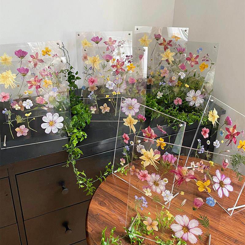 亚克力压花相框diy材料包手工植物标本干花三八节毕业幼儿园儿童