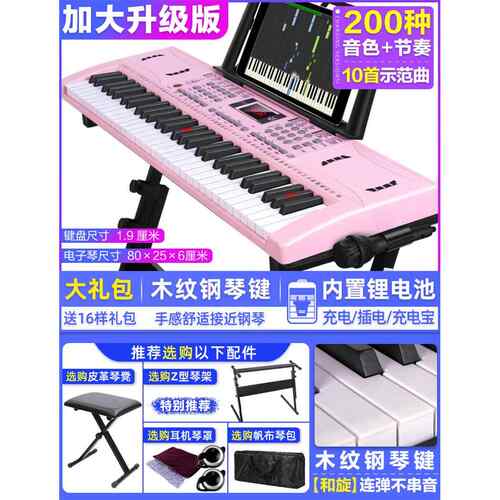 正品迷音鸟多能电子琴功初61键专业幼师入者门儿童学成年人智能电