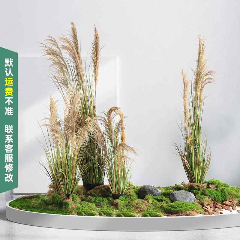 大型北欧仿真植物落地芦苇盆栽景观造景装饰餐厅室内仿生绿植摆件
