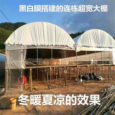 养殖黑白膜巨厚防雨布防晒隔热塑料布防水布防晒隔热膜遮阳布防漏