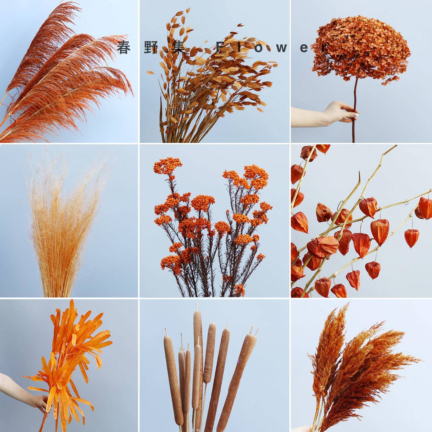 永生花橙黄色干花秋冬花束天然风干高级感真花植物插花千层金绣球