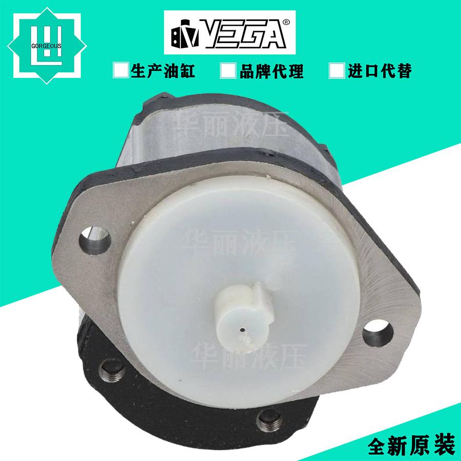意大利VEGA液压缸CE032COFGM020 CE032COFGM020拉杆式方形油压缸