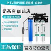 爱惠浦MC2双联净水器商用大流量直饮水机奶茶咖啡店专用过滤器