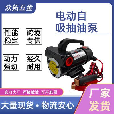 12v24v220v200w大功率电动便携式抽油泵