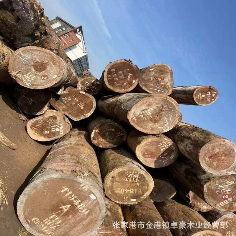 非洲 规格  柚木桑柄加工桑柚木柚木绿板材柄  非洲绿原木