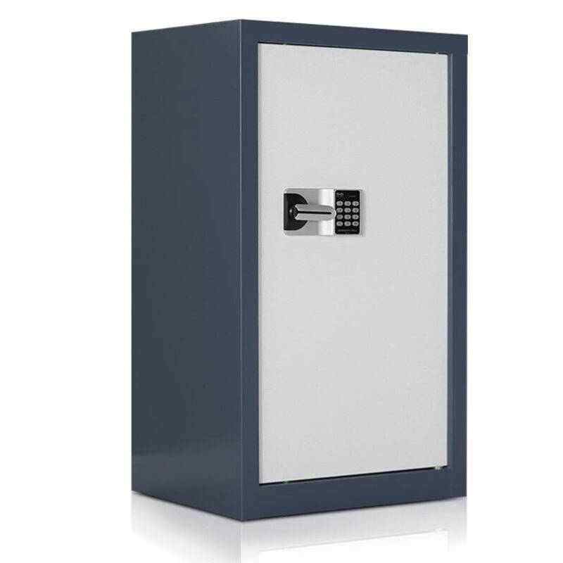 永钰达保密柜文件柜矮柜财务存放柜指纹密码办公柜蓝白小单门-国