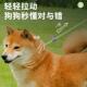 狗狗牵引绳P绳防爆冲中大型犬可调节P链狗绳子遛狗拴狗绳外出神器