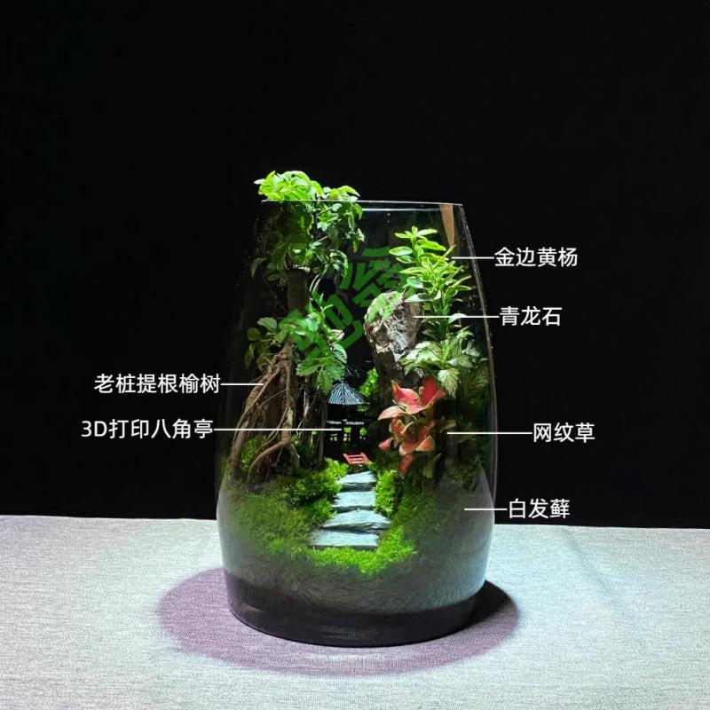 yut万重山创意桌面苔藓植物景观办公室盆景好养绿植生态造景盆栽