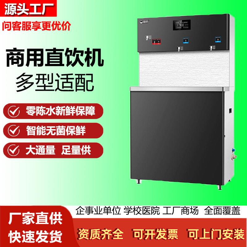 碧丽饮水机公室冷热两用净水器一体机店铺用工厂宿舍用