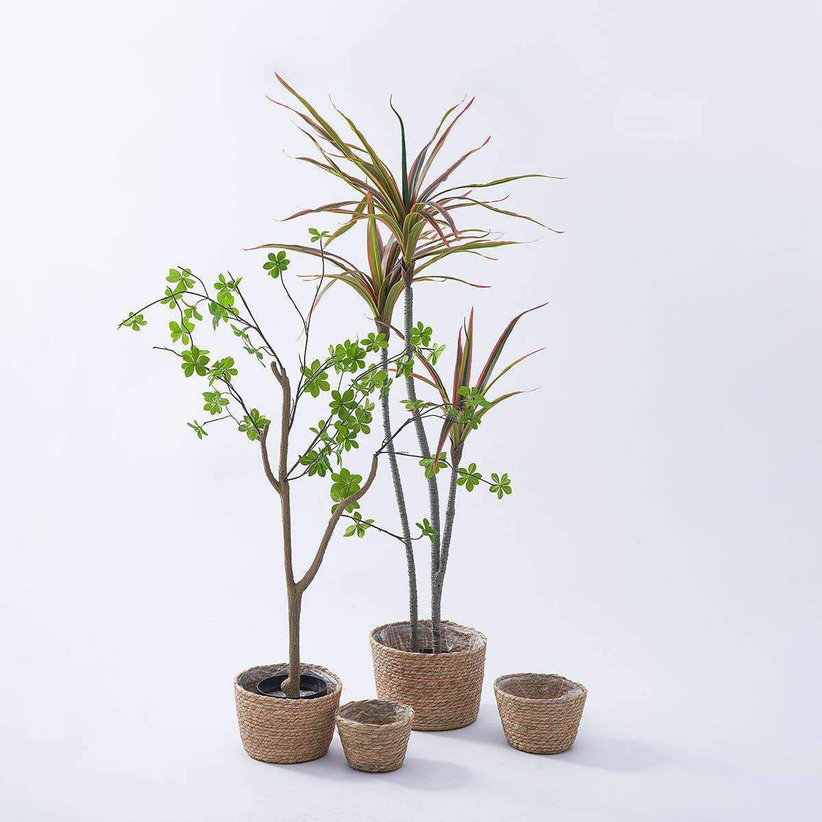 亚马逊蒲草编织花盆家居阳台种植多肉绿植套盆大号手工草编花盆套
