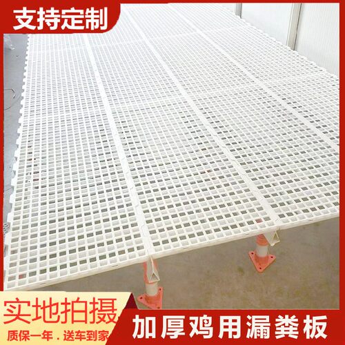 鸡用漏粪板塑料网底鸡鸭鹅家禽漏粪板厂家养殖场接粪板养鸡设备