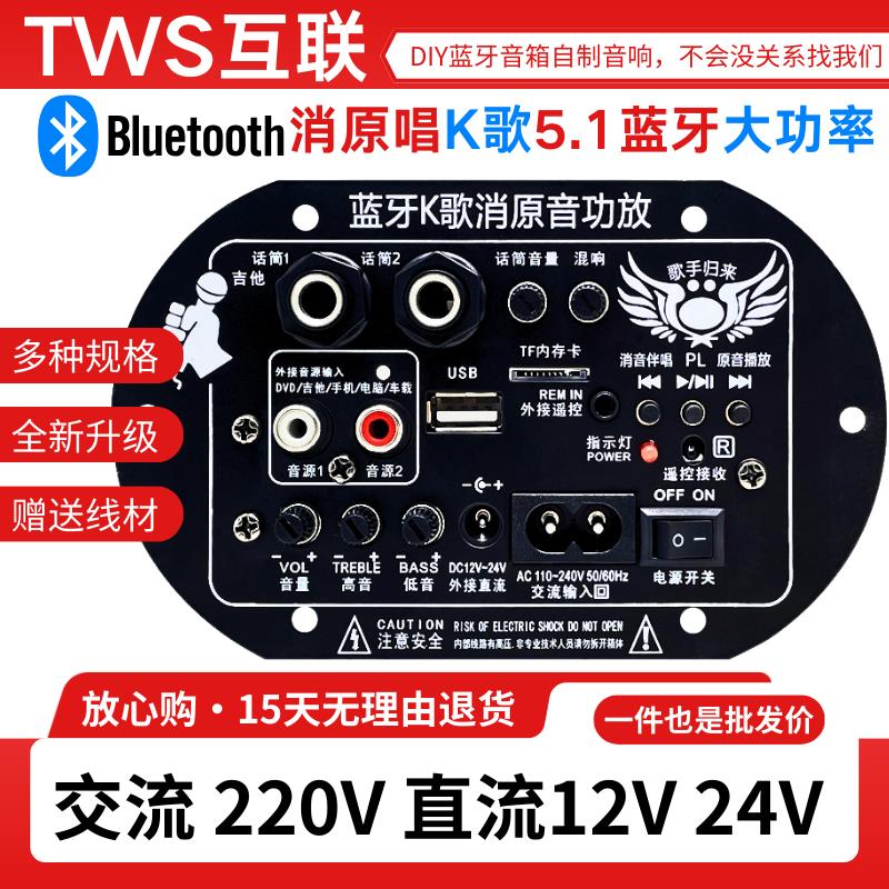 大功率消原唱蓝牙功放板车载家用12V24V220V改装音响箱放大器主板