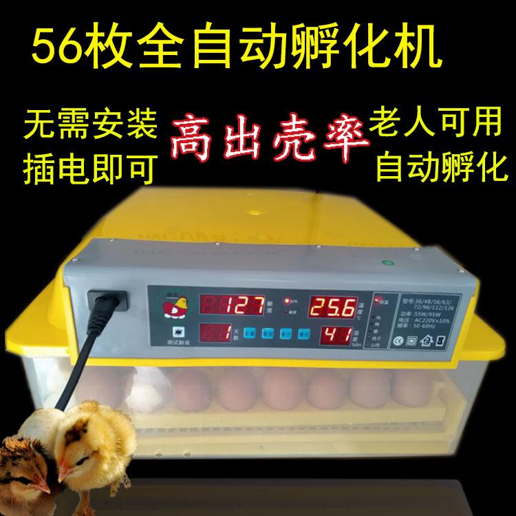 高端鹅蛋孵化机电孵小鸡器鹅蛋浮蛋机全自动抱蛋箱家用噗小鸡机器
