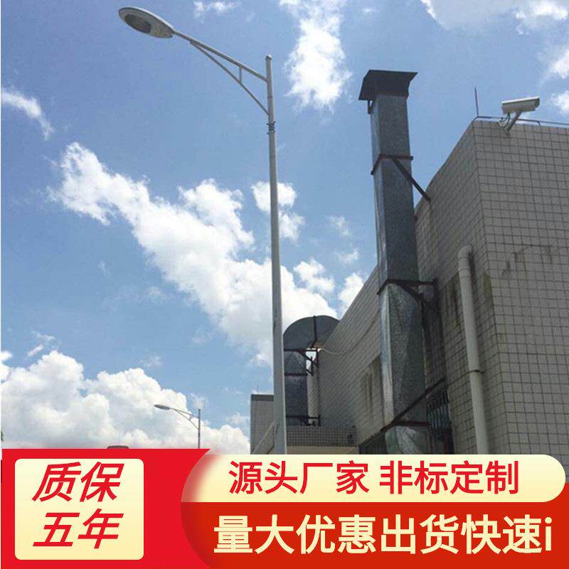led路灯户外100W120W150W8米10米12米高灯杆小区景区道路景观照明