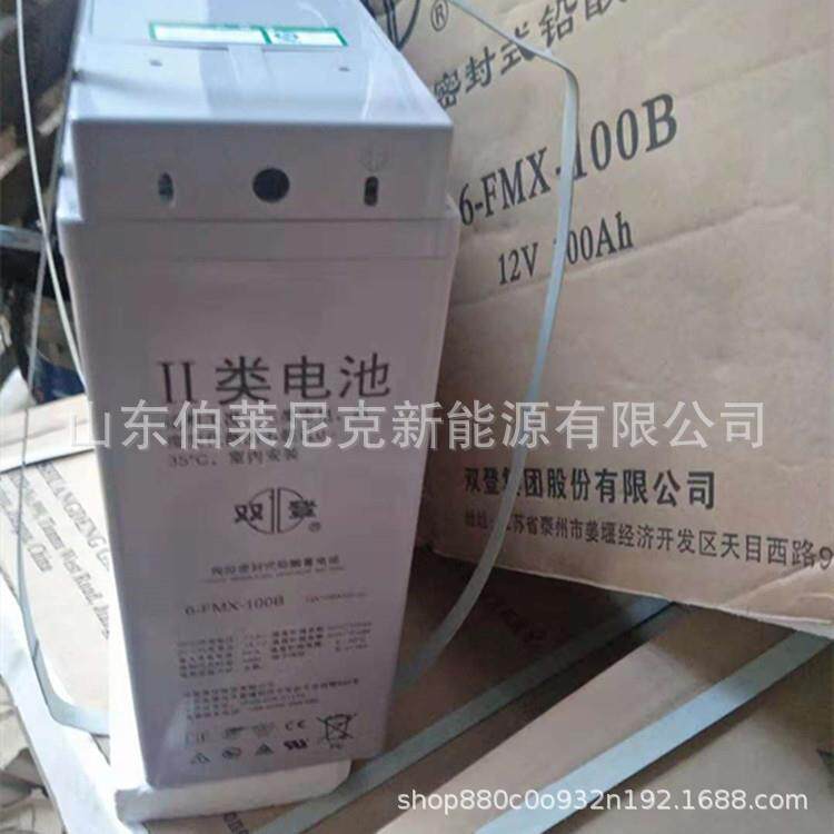 Shoto双登蓄电池6-FMX-100A通讯基站12V100AH船舶太阳能大容量