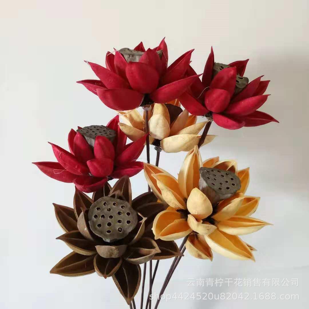 木莲花 干莲蓬干花云南厂家紫荆莲蓬组合干花软装材料