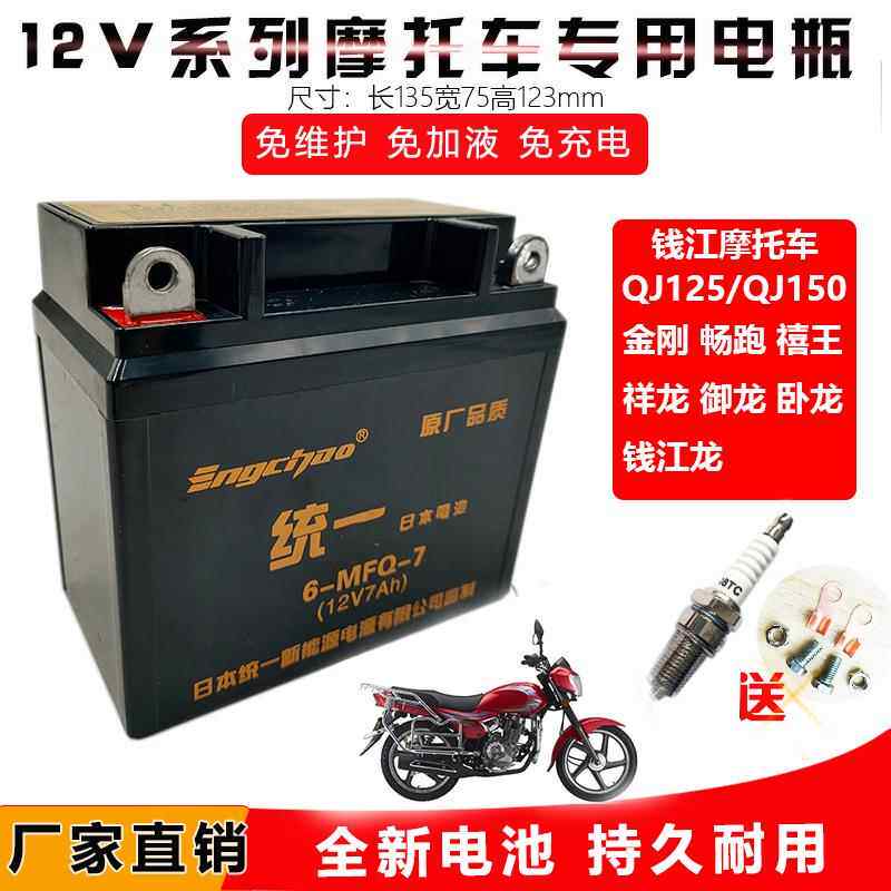 适钱江125/150摩托车金刚畅跑禧王御龙祥龙卧龙免维护干电瓶电池