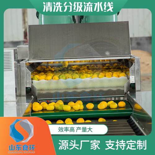 全自动沃柑分级机滚杠式红薯橙子分选设备苹果梨果蔬选果机