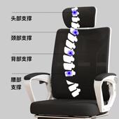 金格羽椅子人体 工学椅子护腰电脑椅家用久坐舒适靠背宿舍电竞椅
