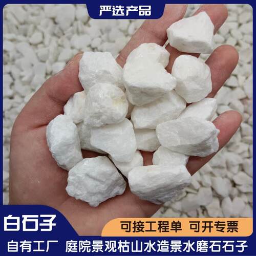 白色石子白碎石日式枯山水造景机制水磨石用白色水洗石白色砾石