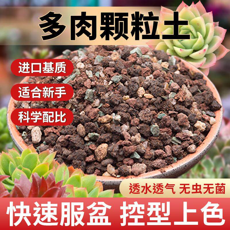 多肉颗粒专用土进口泥炭基质种植多肉叶插铺面石颗粒通用幼苗成株