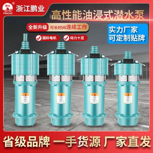 多级抽水泵农用灌溉家用抽水泵井用220v浇菜地高压潜水泵节能高效