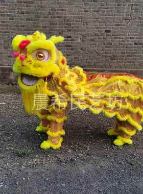 舞狮少年单人舞龙舞狮道具成人儿童南师北狮醒狮服装小狮子头整套