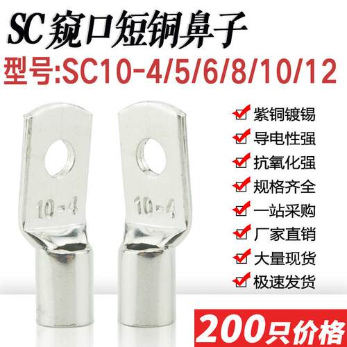 SC10-4/5/6/8/10/12窥口鼻短铜线 线耳SC10平方压线 线鼻铜接头接
