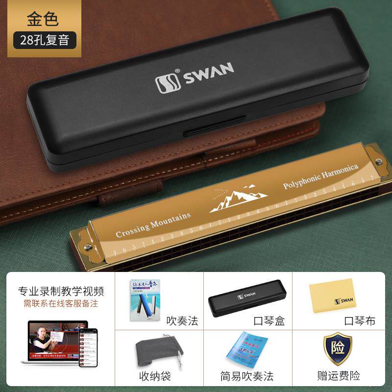 新款天鹅调28孔口琴初乐学者小学生复入门儿童c音重正品风专用男