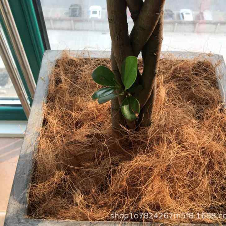 宠物园艺椰丝铺面椰棕丝植物盆栽花盆覆盖小宠及用品