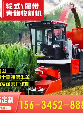 履带式圆盘割台轮式玉米秸秆收割机牧草青贮机大型地滚刀青储机