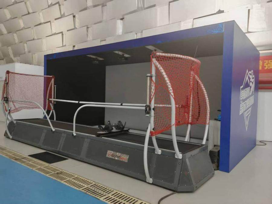 1月12日南京某公司所有的一台已安装模拟滑雪器网络拍卖公告