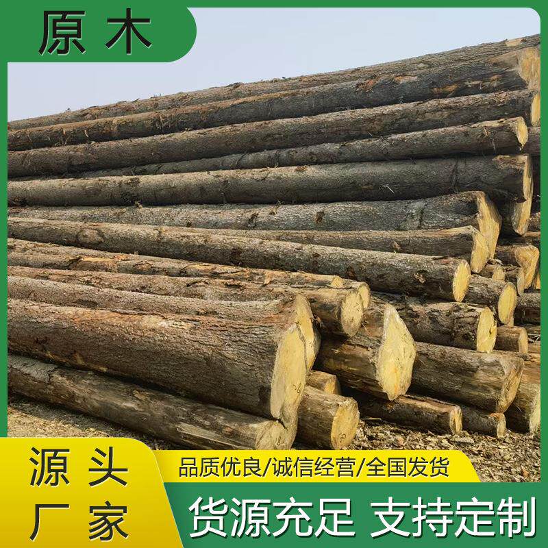 厂家供应工地原木河道油松打桩木生态松木原木防汛工程松木打桩木