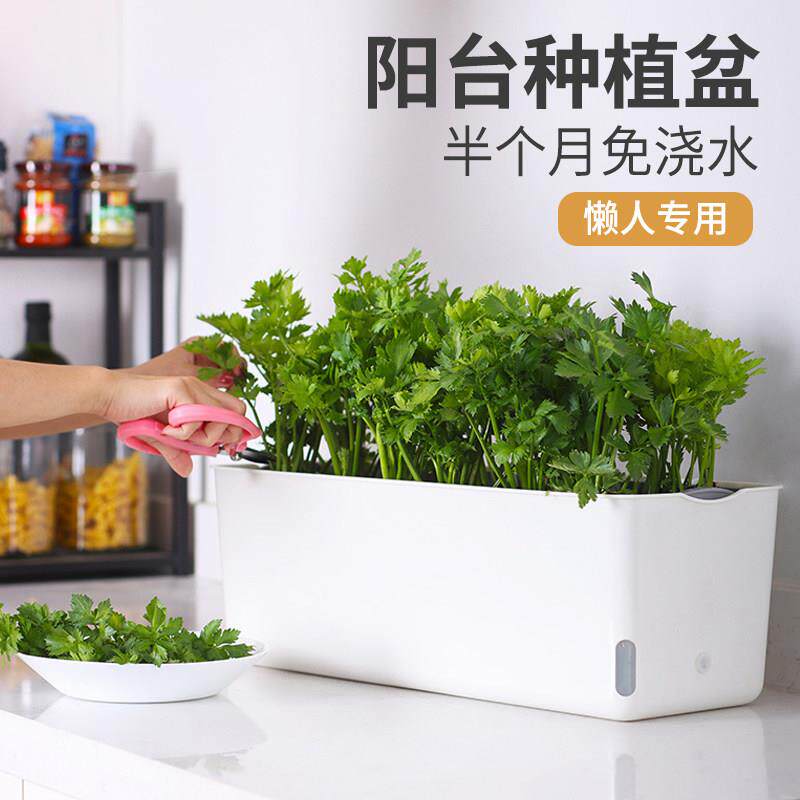 长方形种菜盆家庭阳台专用蔬菜种植箱绿萝塑料花盆长条懒人自吸水
