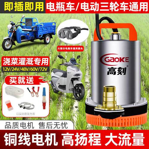 48v60v电动车抽水泵灌溉农用电动车小型直流潜水泵72V浇菜抽水机