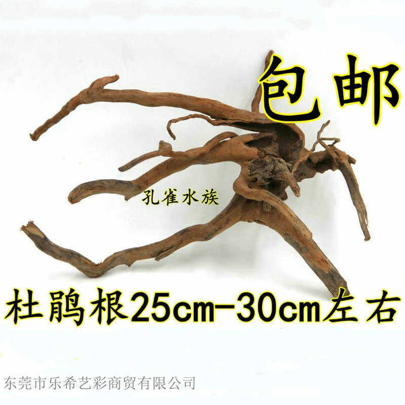 优选鱼缸造景 沉木 流木 栖根 造景树 杜鹃根 莫斯树,宠物/宠物食品及用品,造景/装饰,淘宝优惠券,粉丝福利购,淘宝优惠卷