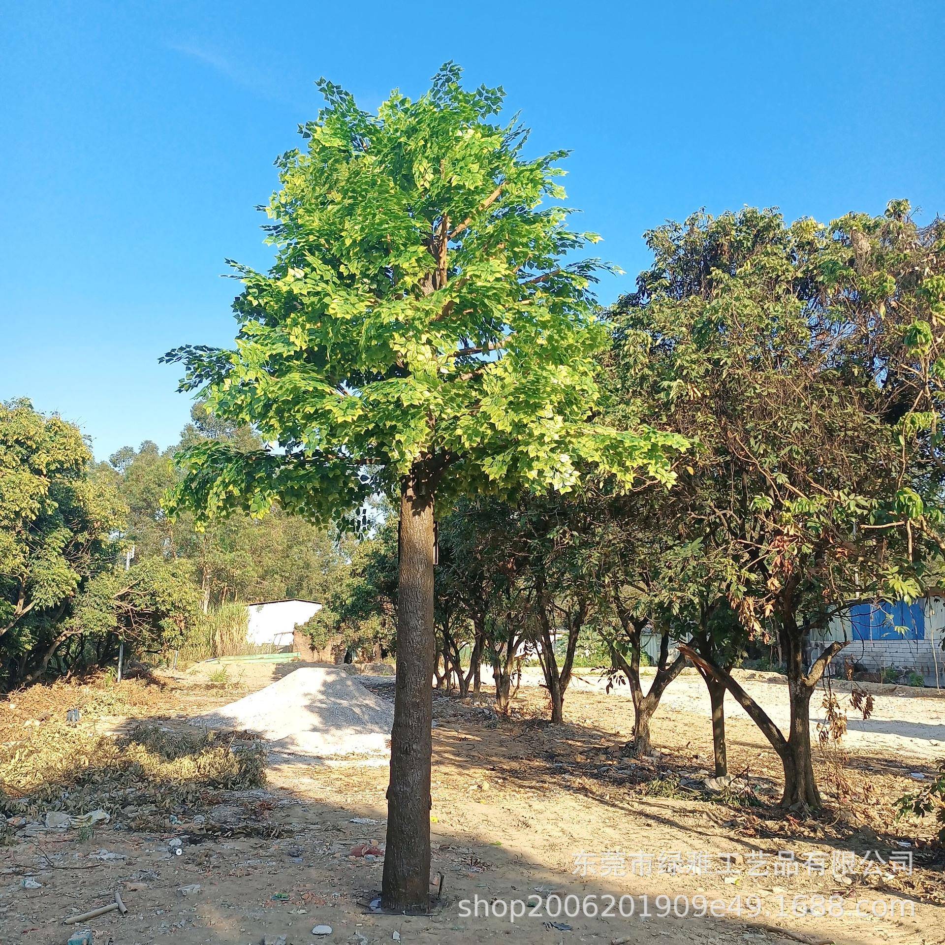仿真树玻璃钢香樟树园林景区造景假树公园小区绿化景观树