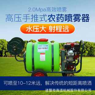 道园林四轮手推动式力海喷雾器打雾药机汽HD-160L油喷机铜泵160L