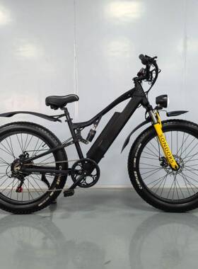 CE认证八方48V500W胖胎雪地车48V20AH电动助力自行车