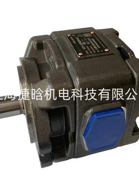 ALBERT内啮合齿轮泵 VG1-63REW-A1 折弯机伺服油泵 VG1-50REW-A1