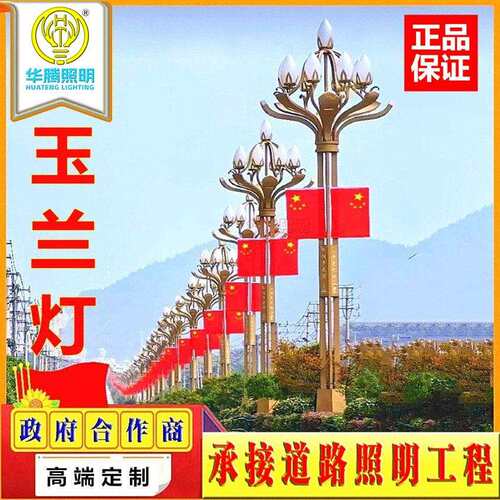 玉兰灯LED中华灯八叉九火大型景观灯市政工程小区学校道路led照明