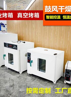 材金银花海鲜农副食品烘干机小型工业温烤箱电热鼓风干燥箱